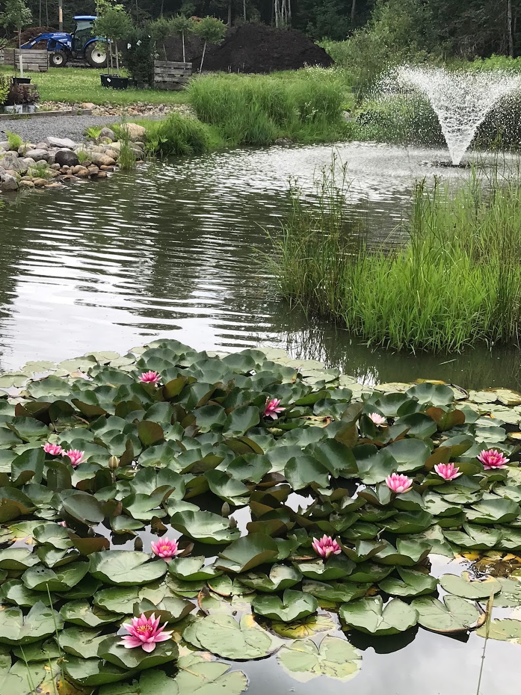 Garden Market By Sandhill | 85 Ontario St, Burks Falls, ON P0A 1C0, Canada | Phone: (705) 382-2442