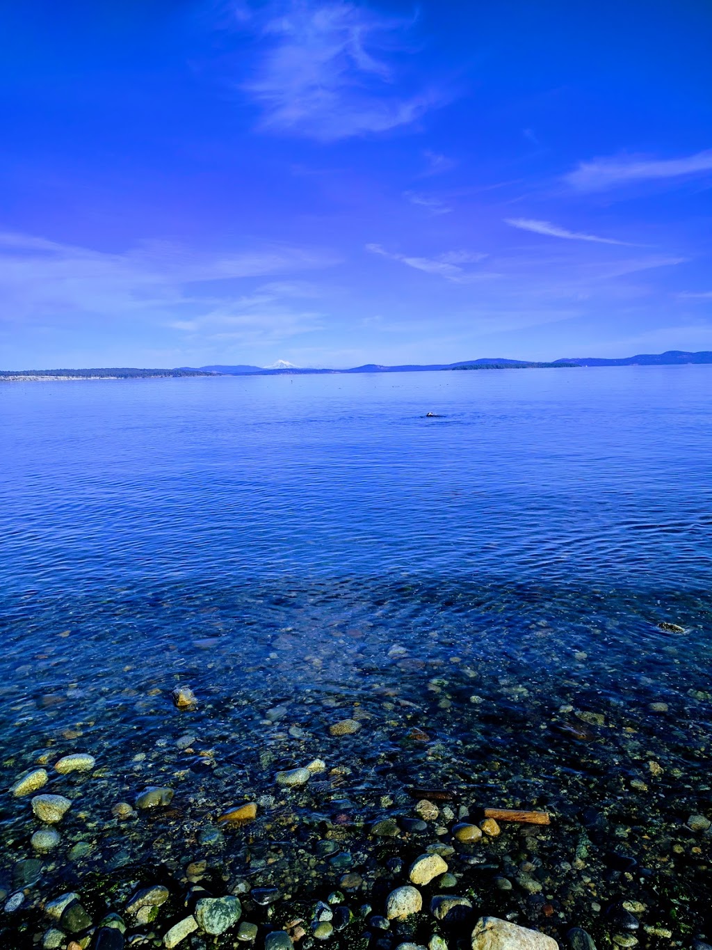 Island View Beach Regional Park | Island View Rd, Saanichton, BC V8M 1W3, Canada | Phone: (250) 478-3344