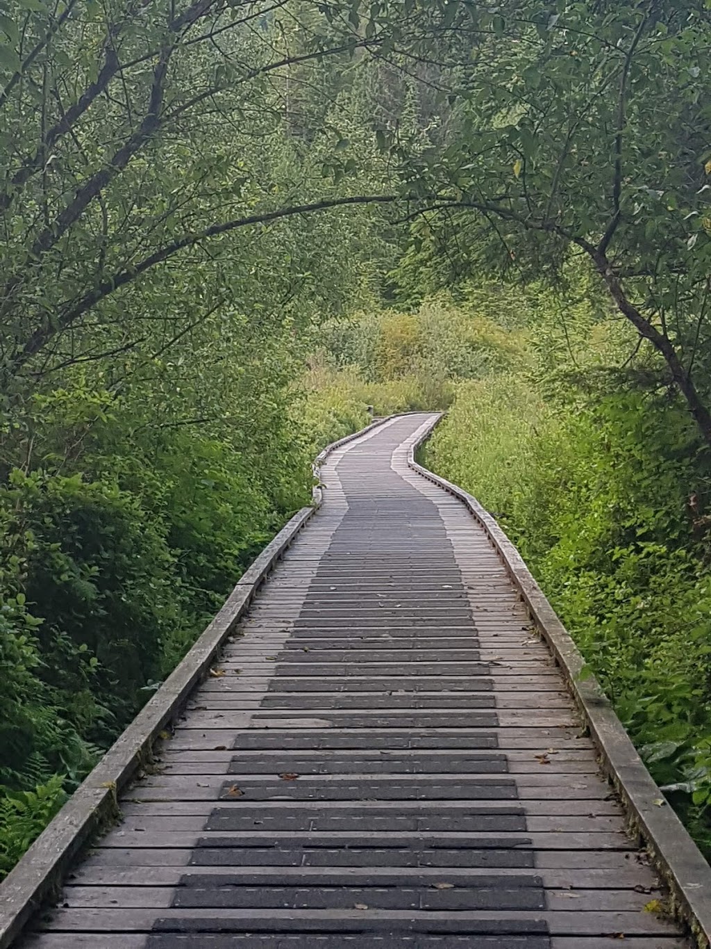 Rolley Lake Provincial Park | Bell St, Mission, BC V4S 1C6, Canada | Phone: (604) 466-8325