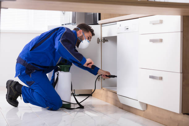 TOPLINE Pest Control | 21 Panamount St NW, Calgary, AB T3K 0H2, Canada | Phone: (403) 813-3666
