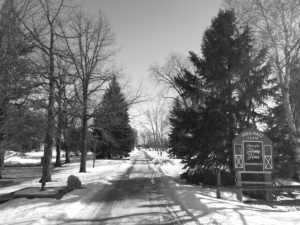 Poco Razz Farm | 130 Greenview Rd, Winnipeg, MB R2N 4C6, Canada | Phone: (204) 255-4717