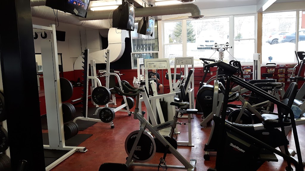 True Potential Fitness | 24 Ross St, Pictou, NS B0K 1H0, Canada | Phone: (902) 382-3303