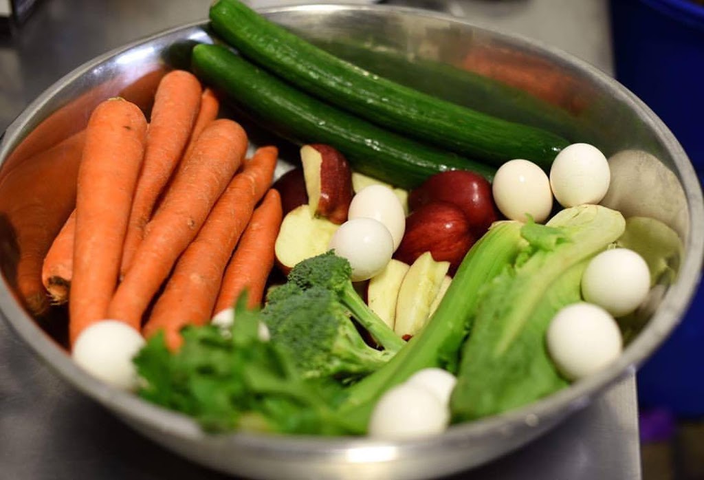 Back to Basics Raw Pet Food | 8203 31 St SE #103, Calgary, AB T2C 1H9, Canada | Phone: (403) 771-7950