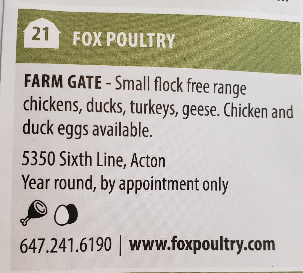 Fox Poultry | 5350 6th Line, Erin, ON N0B 1T0, Canada | Phone: (647) 241-6190