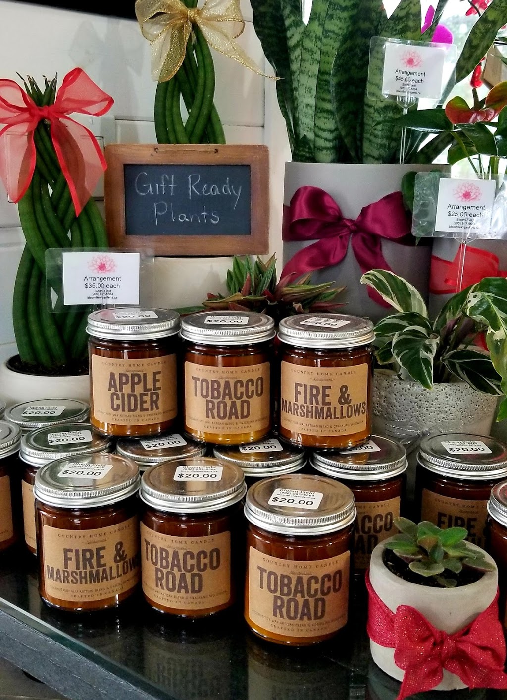 Bloom Field Floral and Garden Centre | 3745 Durham Regional Hwy 2, Newcastle, ON L1B 0R2, Canada | Phone: (905) 987-5664