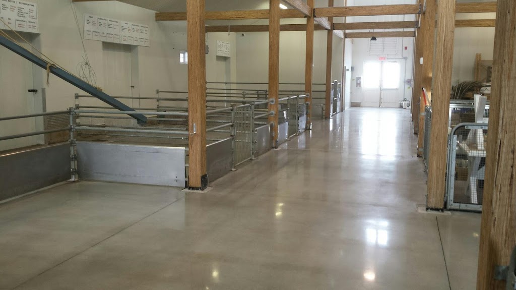 Finition De Béton 2000 Enr. | 2024 QC-133, Saint-Jean-sur-Richelieu, QC J2X 4B9, Canada | Phone: (450) 359-6767