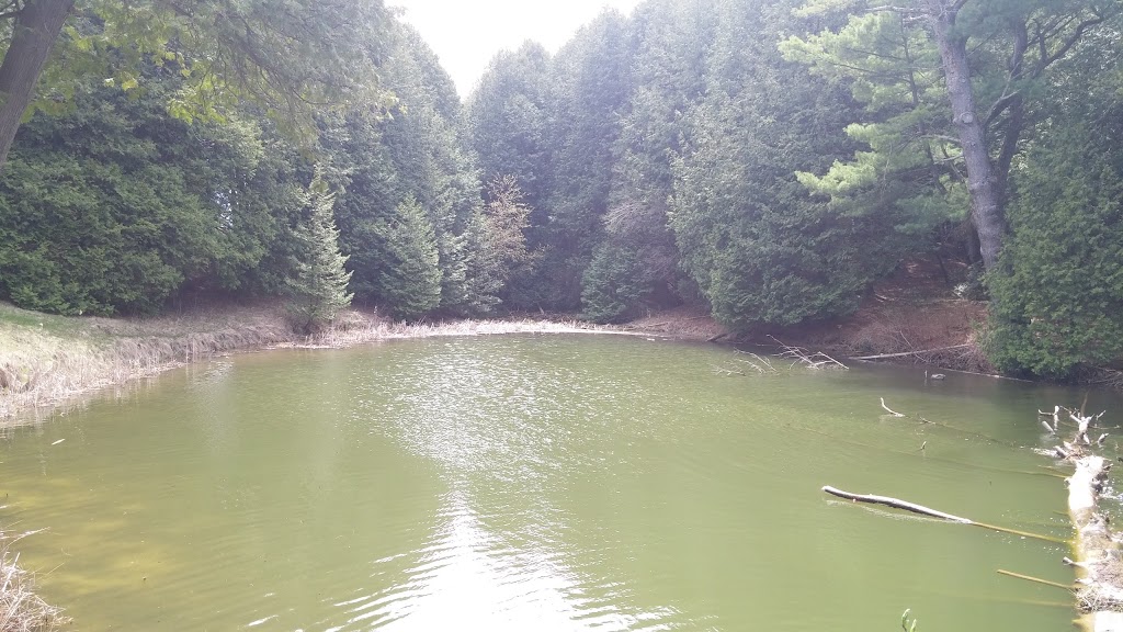 Garden Hill Conservation Area | Ganaraska Road 9, Port Hope, ON L0A 1B0, Canada | Phone: (905) 885-8173
