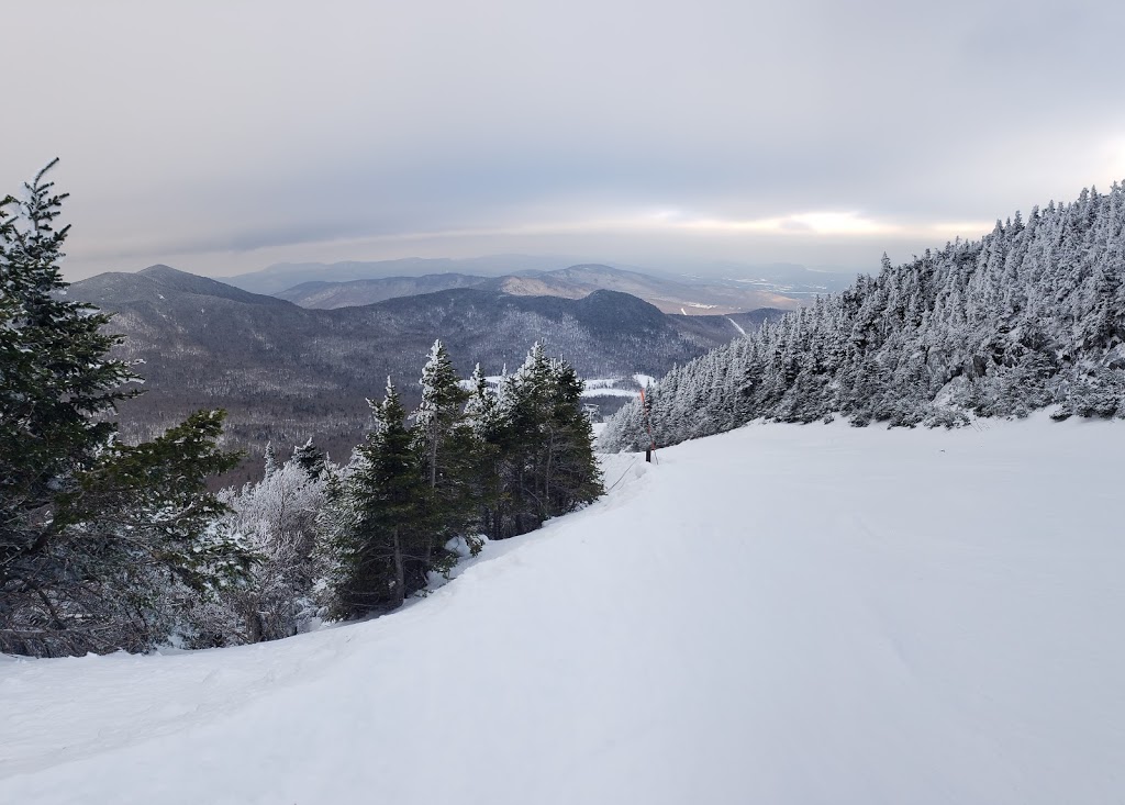 Jay State Forest | 1229 Portland St. #201, Richford, VT 05763, USA | Phone: (802) 751-0110