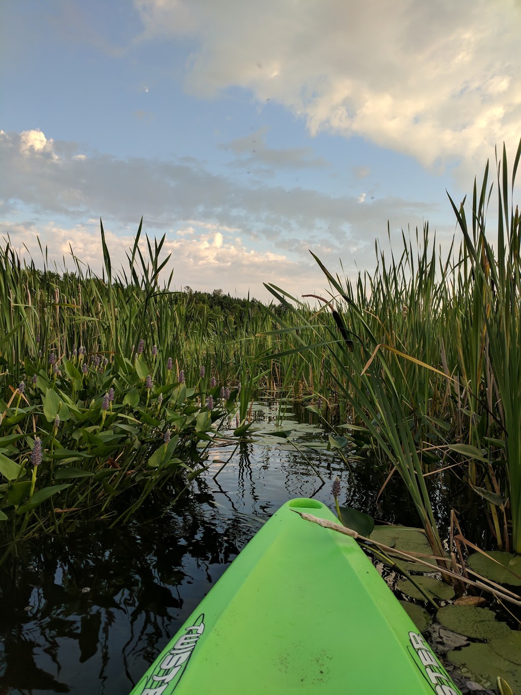 Moose Point Cottages Ltd. | 207 Moose Point Rd, Crystal Falls, ON P0H 1L0, Canada | Phone: (705) 758-1112