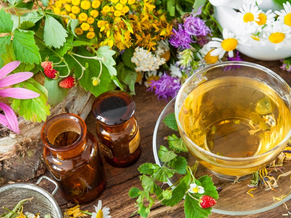 Propulsnatura Naturopathie - Mélanie Marois Naturopathe | 1385 Rue Oakwood, Saint-Bruno-de-Montarville, QC J3V 3J7, Canada | Phone: (514) 929-3916