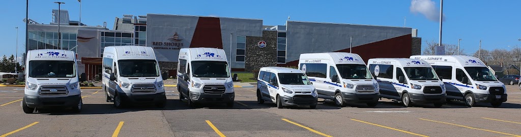 Pat And The Elephant | 391 St Peters Rd, Charlottetown, PE C1C 1G7, Canada | Phone: (902) 894-3339