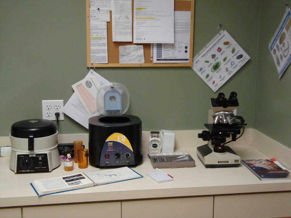 Accord Veterinary Services | 7410 Dallas Dr Unit 2, Kamloops, BC V2C 6X2, Canada | Phone: (250) 574-2065