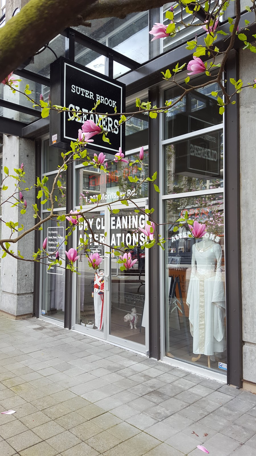 Suter Brook Cleaners & Alteration | 1-201 Morrissey Rd, Port Moody, BC V3H 0E5, Canada | Phone: (604) 949-0262
