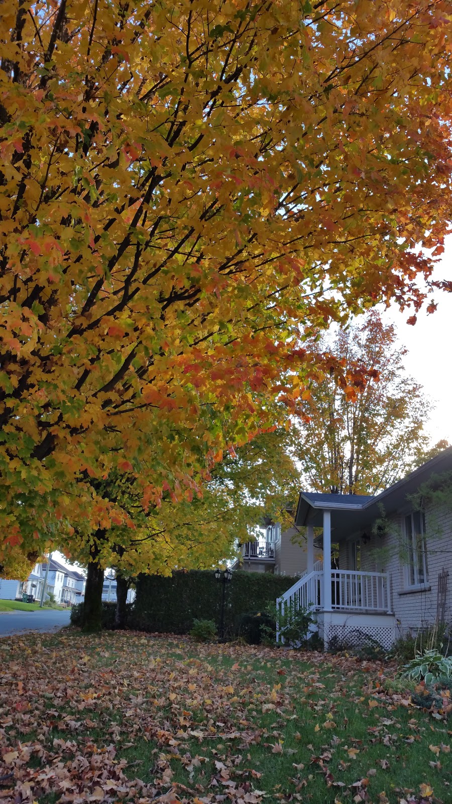Miellerie Lambert | 538-546 Rue Gosselin, Wotton, QC J0A 1N0, Canada | Phone: (819) 828-2549