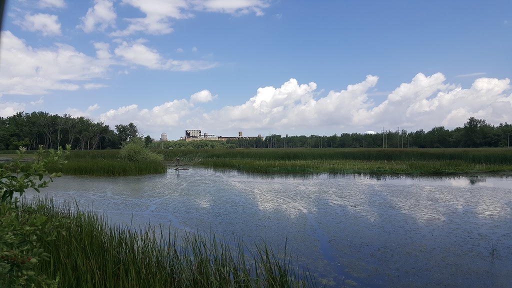 Tifft Nature Preserve | 1200 Fuhrmann Boulevard, Buffalo, NY 14203, USA | Phone: (716) 825-6397