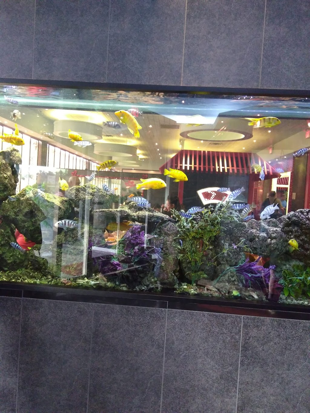 Mandarin Restaurant | 1725 Kingston Rd, Pickering, ON L1V 4L9, Canada | Phone: (905) 619-1000