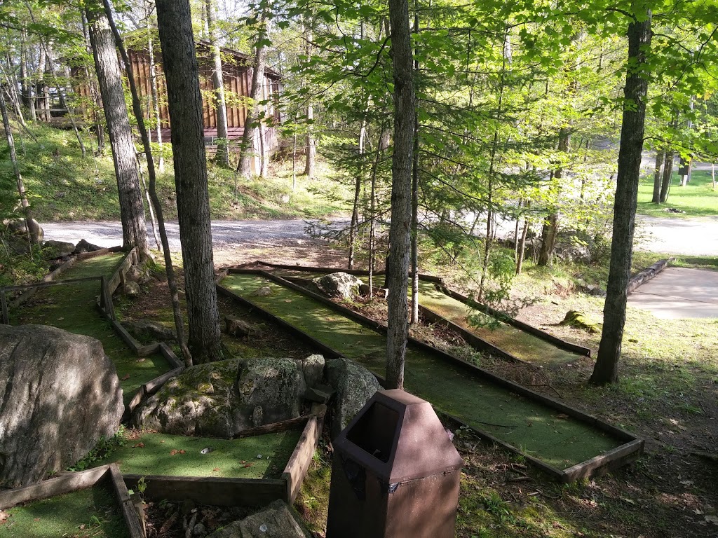 Woodcrest Resort Park | 1570 Myers Cave Rd, Harlowe, ON K0H 1B0, Canada | Phone: (613) 336-2966