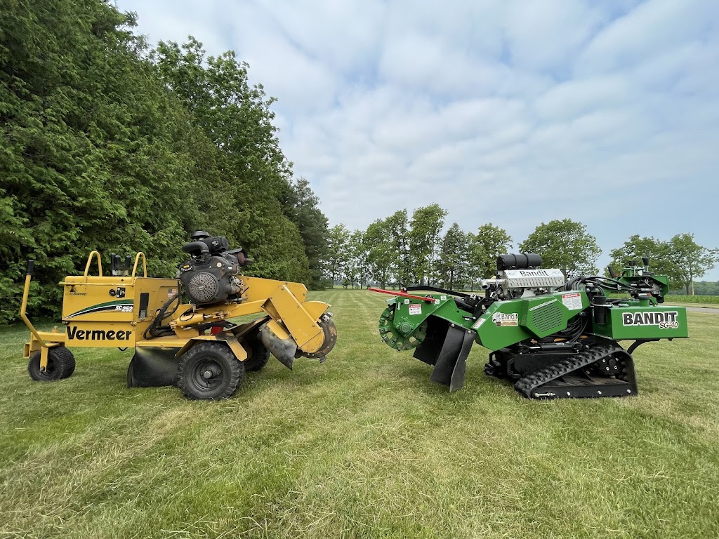 Stump Grizzly | Foxborough Pl, Thorndale, ON N0M 2P0, Canada | Phone: (226) 921-8619