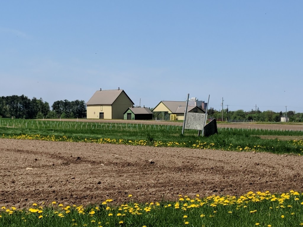 Friends of the Farm | Civic Hospital - Experimental Farm - Central Park, Ottawa, ON K2C 3R6, Canada | Phone: (613) 230-3276