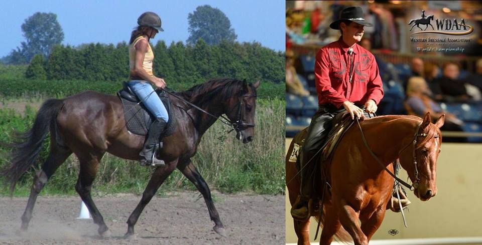 Symphony Stables | 778 County Rd 37, Wheatley, ON N0P 2P0, Canada | Phone: (519) 825-9708