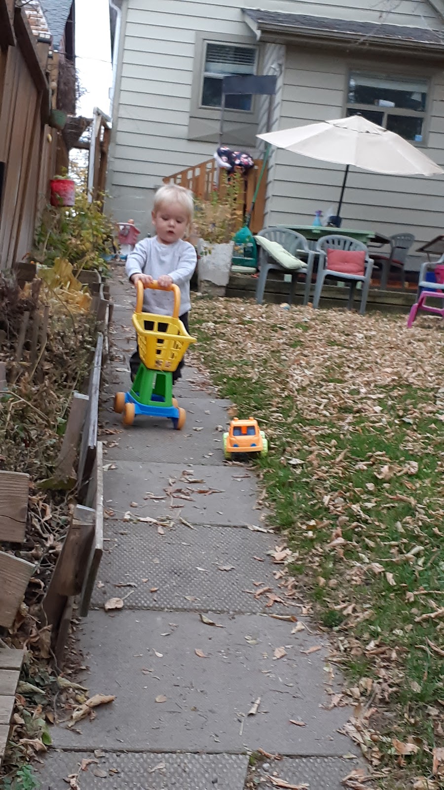 Second Home Child Care | 14 Avon Ave, York, ON M6N 3W7, Canada | Phone: (647) 853-4534