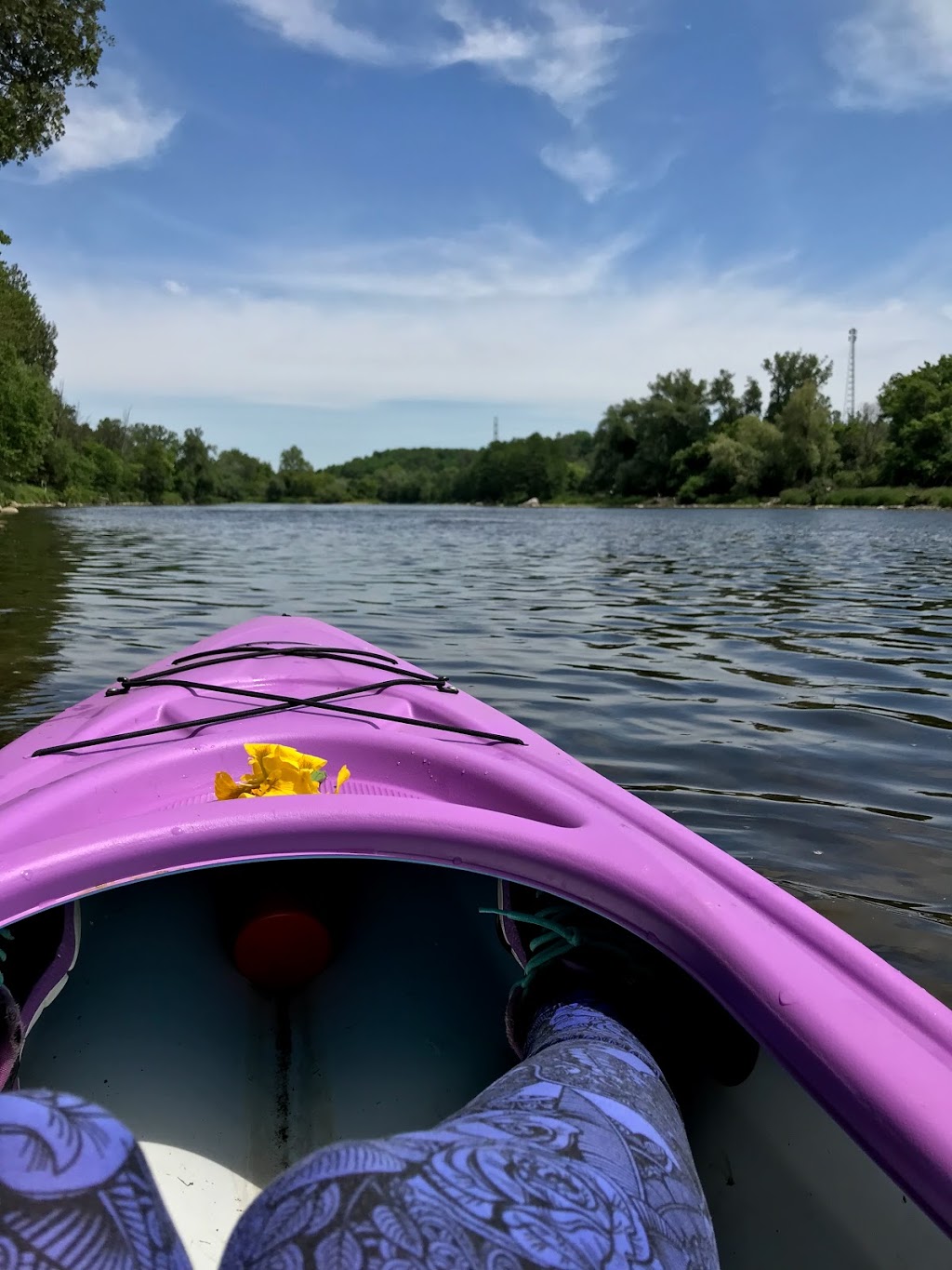 Cambridge to Paris Rail Trail - Cambridge Trailhead | 210 Water St S, Cambridge, ON N1R 5S6, Canada | Phone: (519) 621-2761