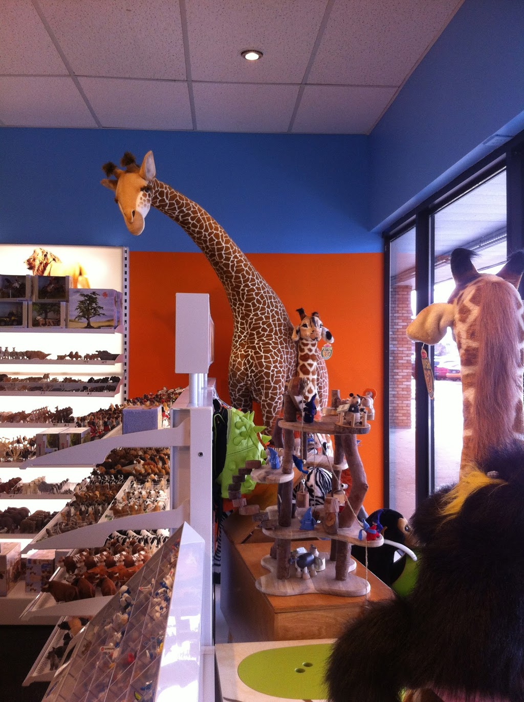 Zippity Zoom Toys | 4601 Albert St, Regina, SK S4S 6B6, Canada | Phone: (306) 522-8697