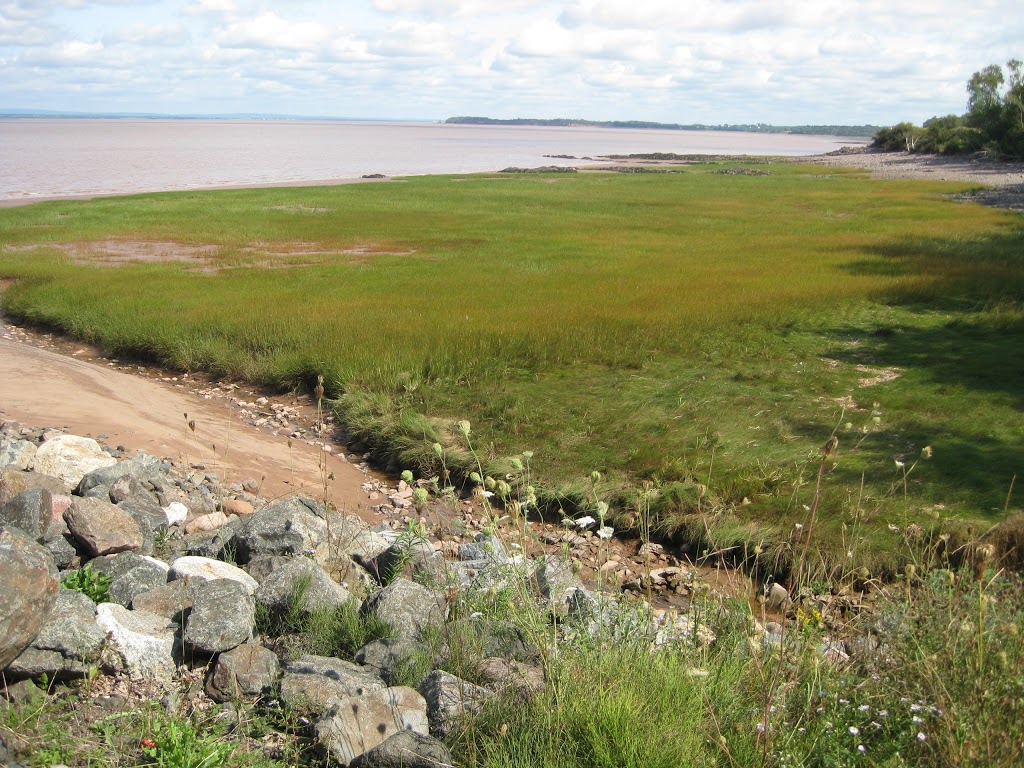 Anthony Provincial Park | 6889 NS-215, Maitland, NS B0N 1T0, Canada