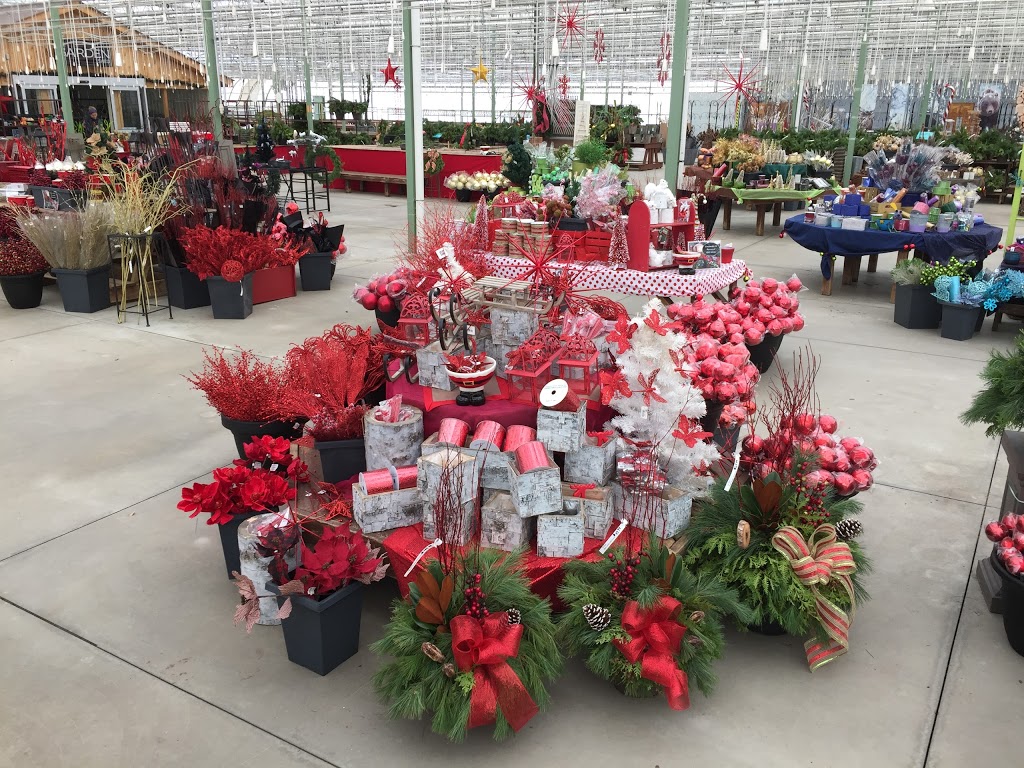 Colour Paradise Greenhouses | 1209 Bleams Rd, Petersburg, ON N0B 2H0, Canada | Phone: (519) 745-0200