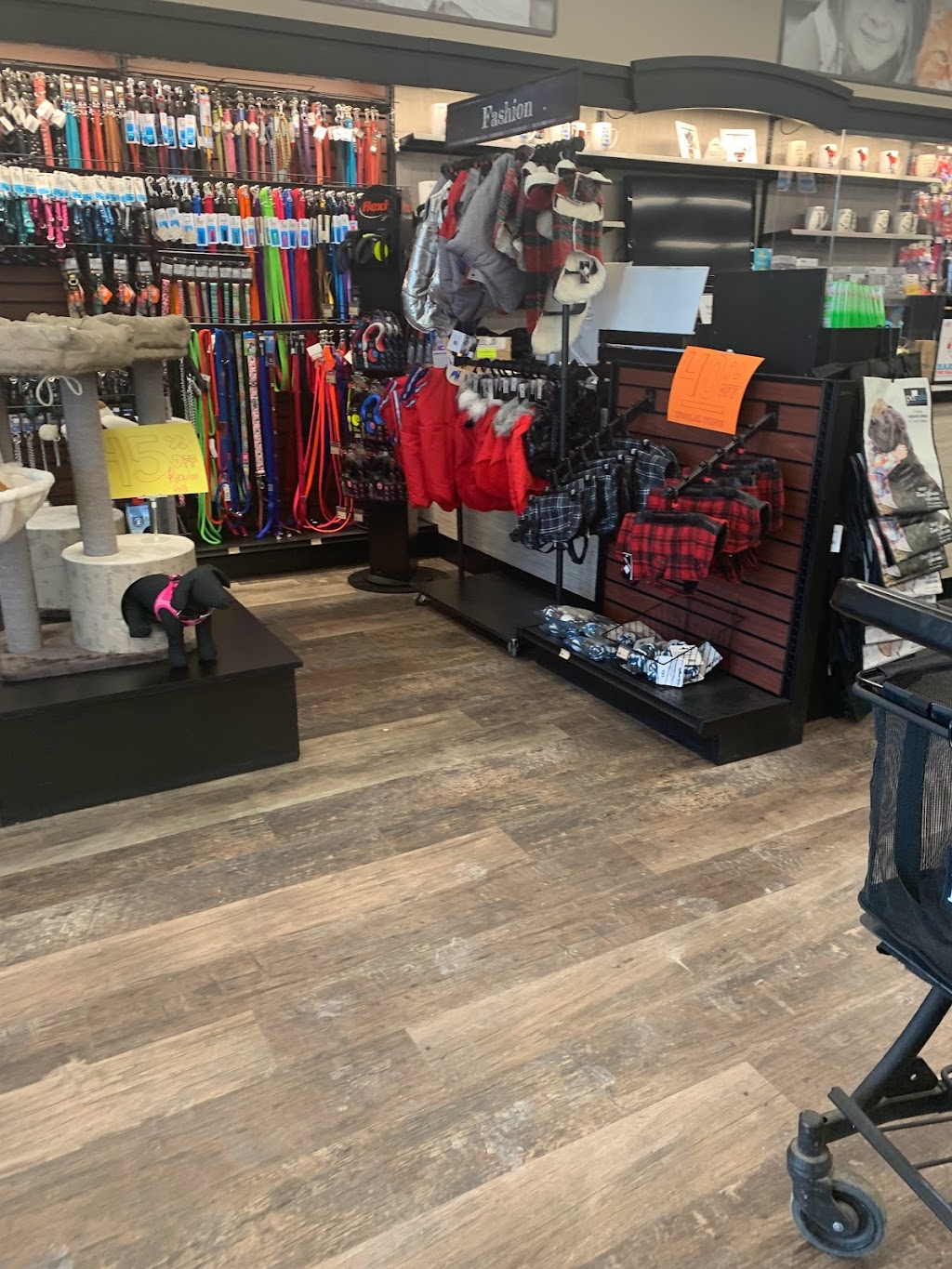Pet Valu | 1658 Main St, Winnipeg, MB R2V 1Y9, Canada | Phone: (204) 334-4411