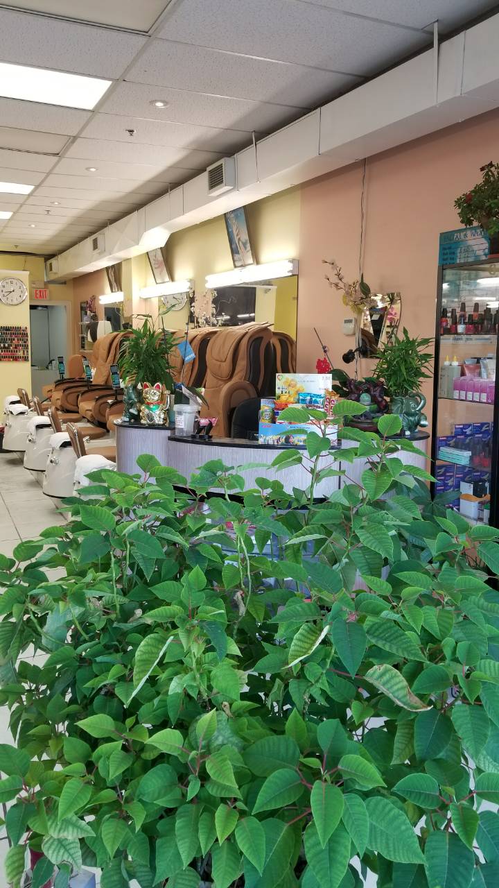 Lucky Tracys Nails & Spa | 706 Burnhamthorpe Rd E, Mississauga, ON L4Y 2X3, Canada | Phone: (905) 897-0070