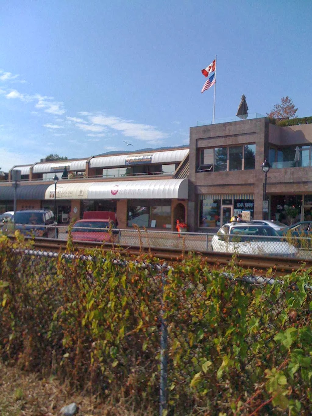 Prof.Chen TCM& acupuncture clinic | 1467 Bellevue Ave, West Vancouver, BC V7T 1C3, Canada | Phone: (604) 913-2262