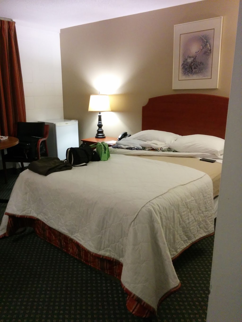 Rotel | 411 Smyth Rd, Ottawa, ON K1H 8M8, Canada | Phone: (613) 733-1412