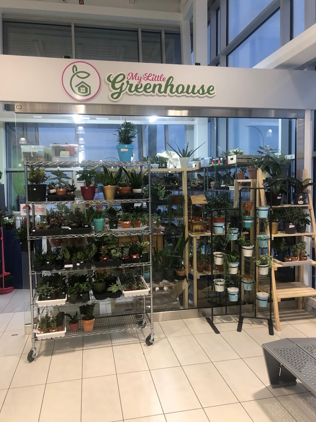 My Little Greenhouse | 260300 Writing Creek Cres Unit C2, Balzac, AB T4A 0G3, Canada | Phone: (825) 735-4858