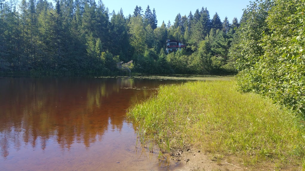 Chalets Lauzon | 521 Rue Lauzon, Saint-Faustin-Lac-Carré, QC J0T 1J2, Canada | Phone: (819) 688-2809