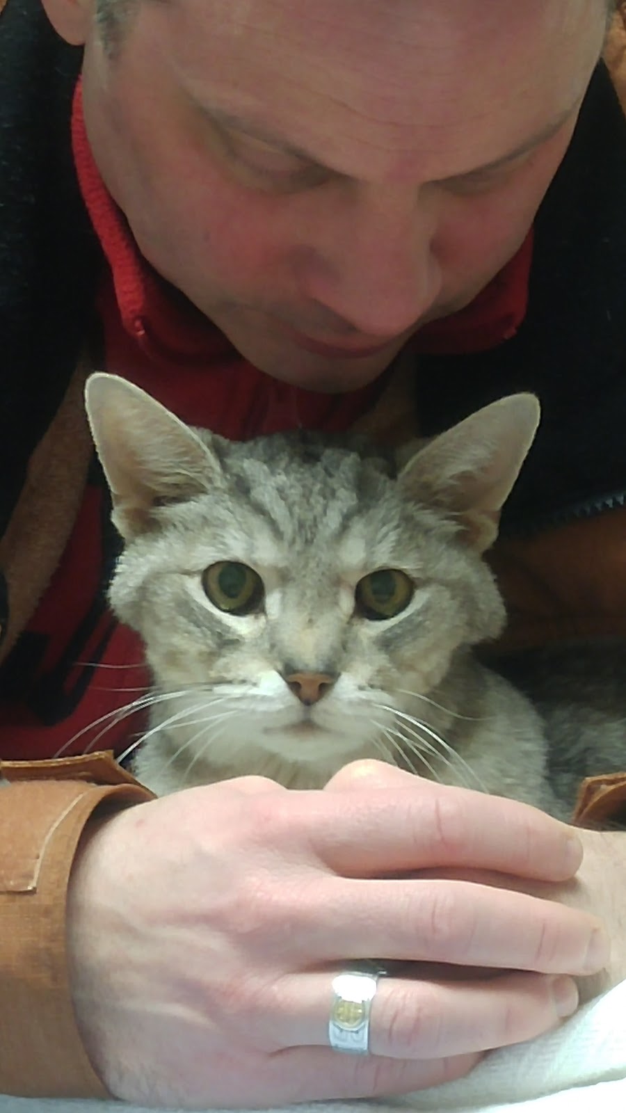 Tantramar Veterinary Hospital | 51 Main St, Sackville, NB E4L 4A7, Canada | Phone: (506) 364-1121