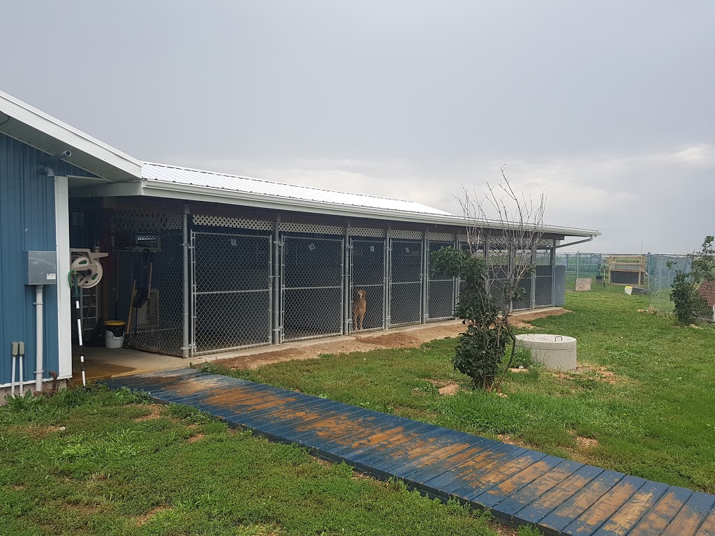 Paws Claws N Tails Kennel | Baildon Farm Road, MAIL TO: P.O.B. 691 BUSHELL PARK,, Baildon, SK S0H 0N0, Canada | Phone: (306) 693-0310