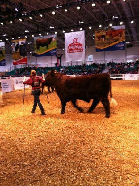 Meehan Farms | 2499 Upper Dwyer Hill Rd, Carp, ON K0A 1L0, Canada | Phone: (613) 276-1050