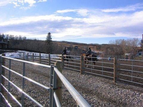 Laughing Horse Ranch | 2239 Drive, Millarville, AB T2J 2T9, Canada | Phone: (403) 931-3119