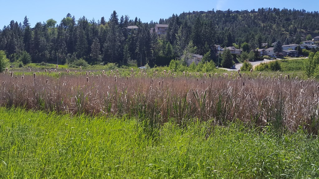Cassiar Park | 669 Cassiar Crescent, Kelowna, BC V1V 1M9, Canada