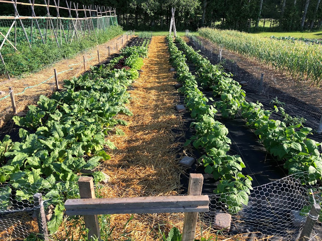Elmer House Farm | 18651 Warden Ave., East Gwillimbury, ON L0G 1V0, Canada | Phone: (905) 716-7010