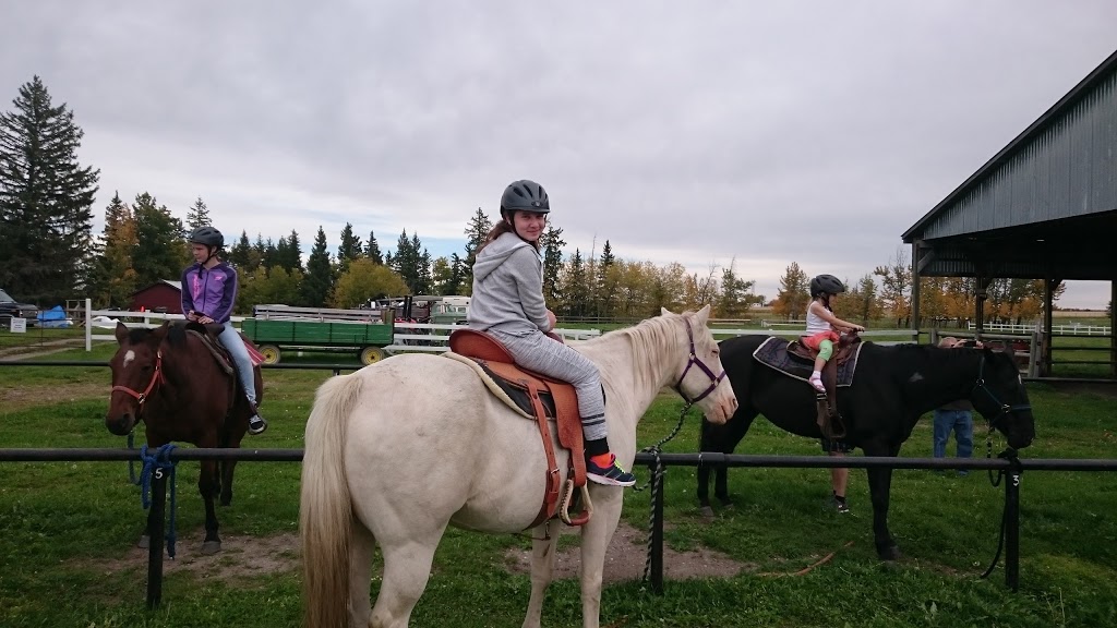 Foothills Camp and Retreat Centre | 3032 Township Rd 342, Bowden, AB T0M 0K0, Canada | Phone: (403) 342-5044