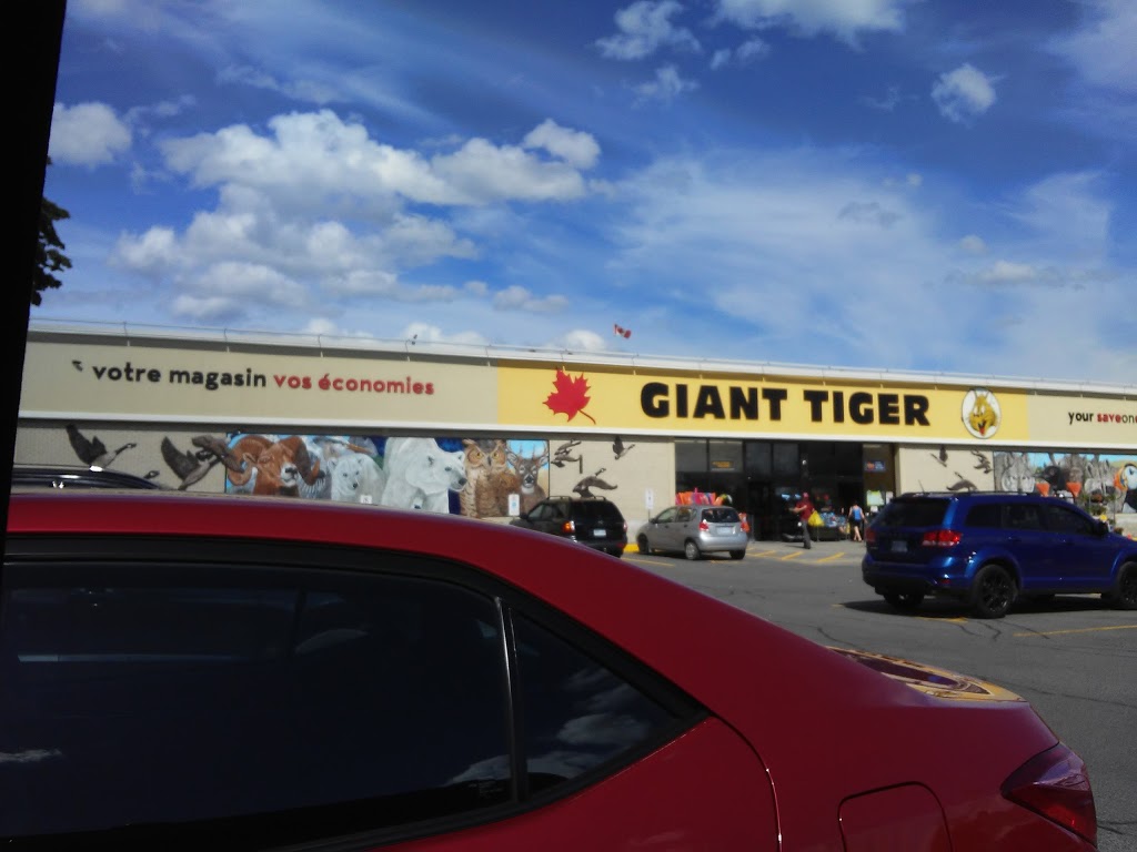 Giant Tiger | 2480 Walkley Rd, Ottawa, ON K1G 6A9, Canada | Phone: (613) 526-2416