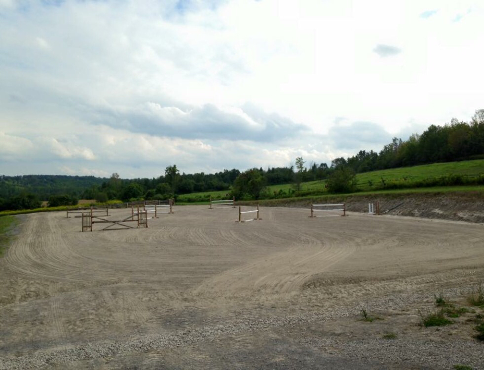 Talisman Equestrian | 4560 Hwy 7, Omemee, ON K0L 2W0, Canada | Phone: (705) 799-2581