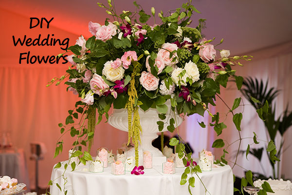 Toronto Bulk Flowers | 9961 Yonge St, Richmond Hill, ON L4C 1T9, Canada | Phone: (416) 568-8009