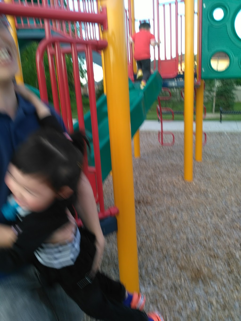 Forest View Park | 125 Lady Dolores Ave, Maple, ON L6A 4E6, Canada