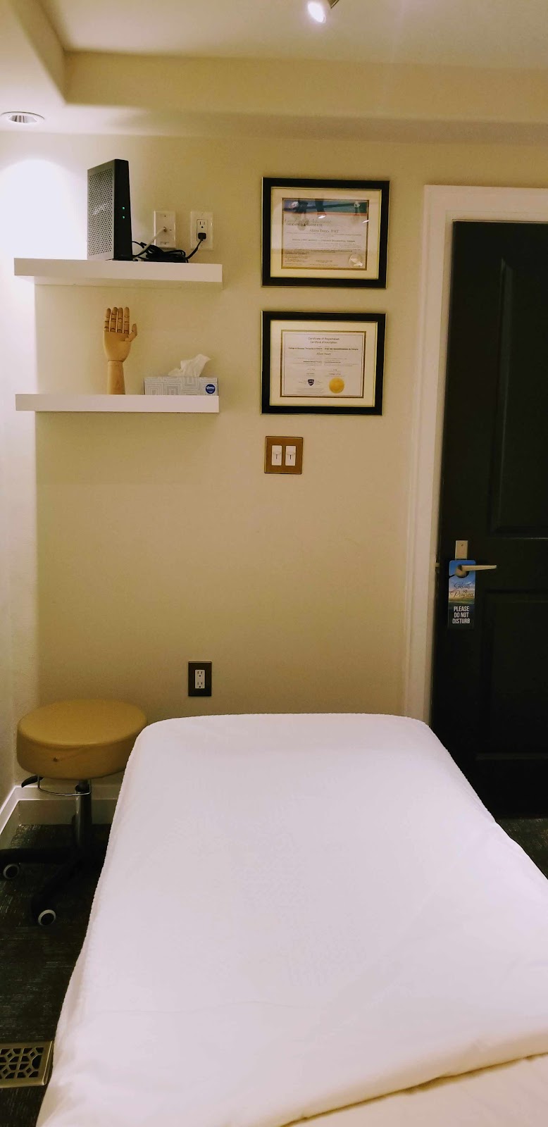 Wellness Flowz Lymphatic Massage | 60 King St W, Stoney Creek, ON L8H 1H8, Canada | Phone: (365) 999-1056