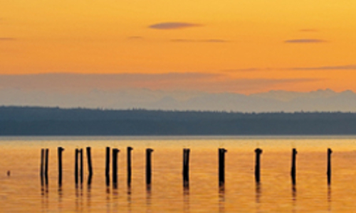 Alof!i (- Consultancy, and - A Design) | 3494 MacKenzie Ave, Powell River, BC V8A 5G2, Canada | Phone: (604) 485-2452