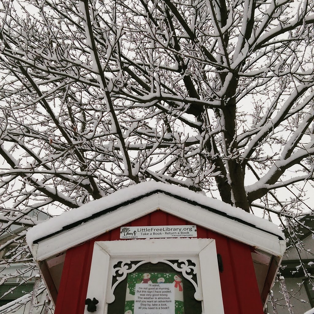 Stanley Little Free Library | 46 Lansdowne Rd S, Cambridge, ON N1S 2T4, Canada