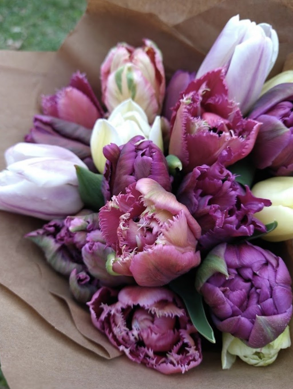 Grow & Gather Flower Farm | 5886 Kapoor Rd, Duncan, BC V9L 6H6, Canada | Phone: (778) 836-0624